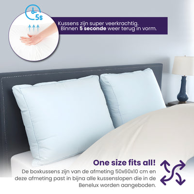 Hoofdkussen - Set van 2 - 50x60x10 cm - Navulbaar